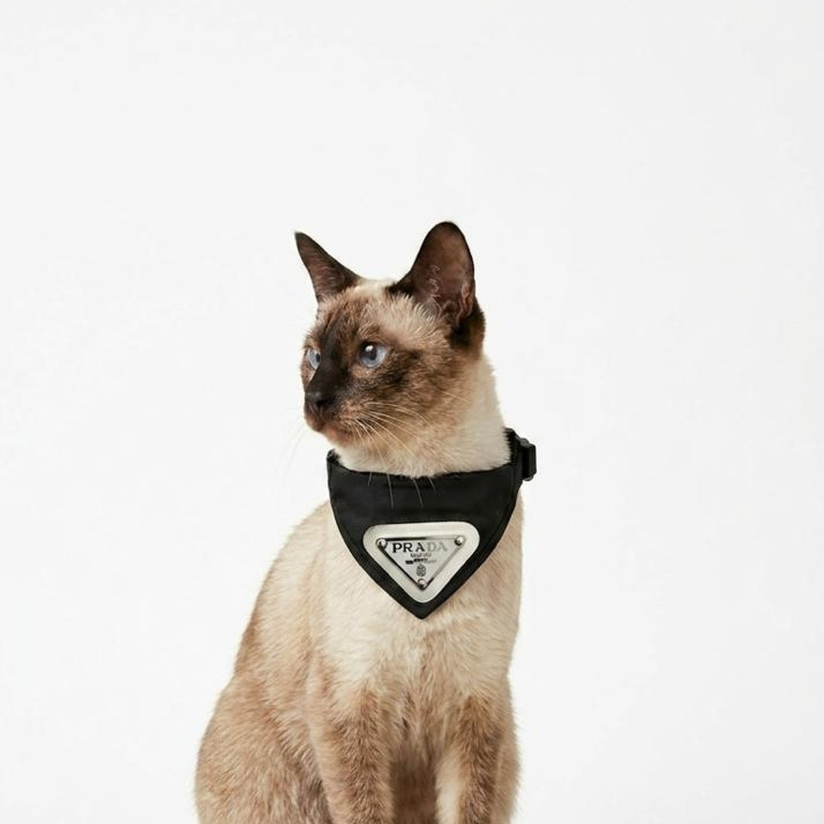 Black & Silver Scarf