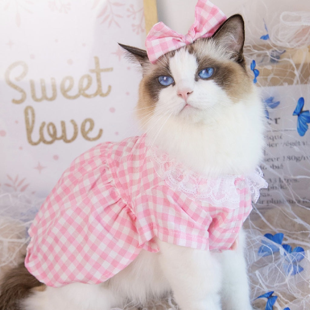 Pink Dress & Bow