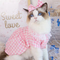 Pink Dress & Bow
