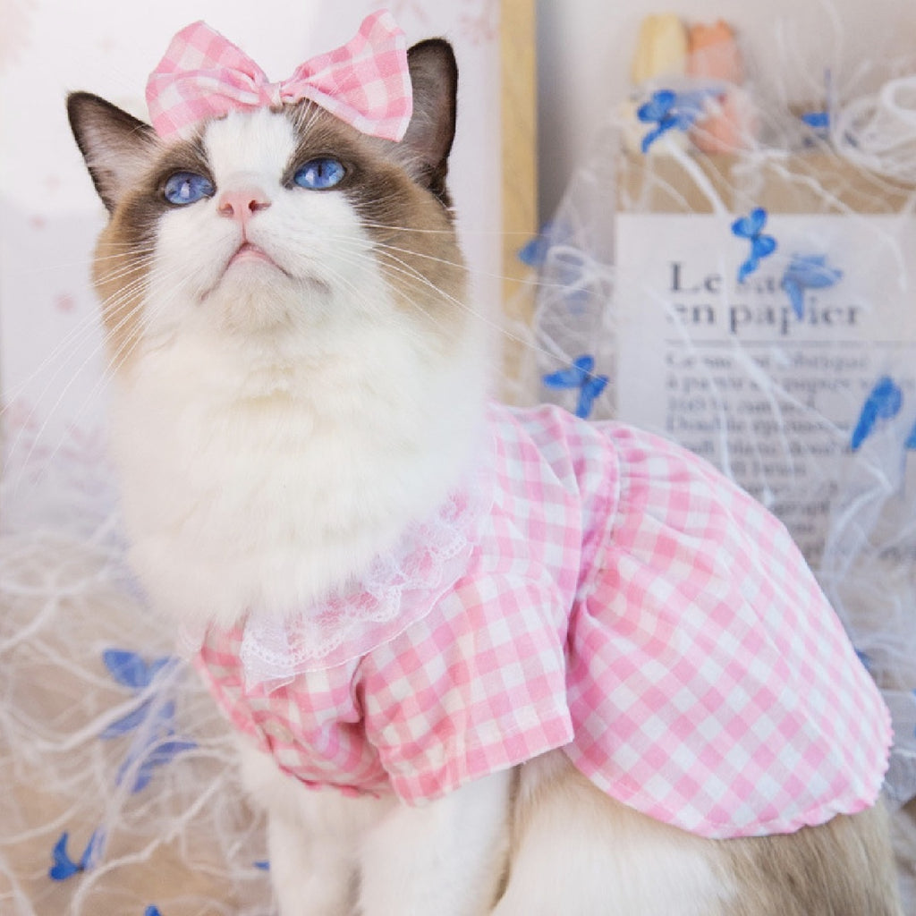 Pink Dress & Bow