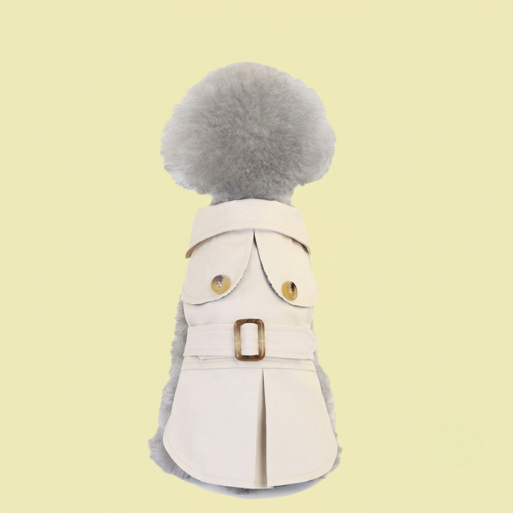 Beige Trench Coat