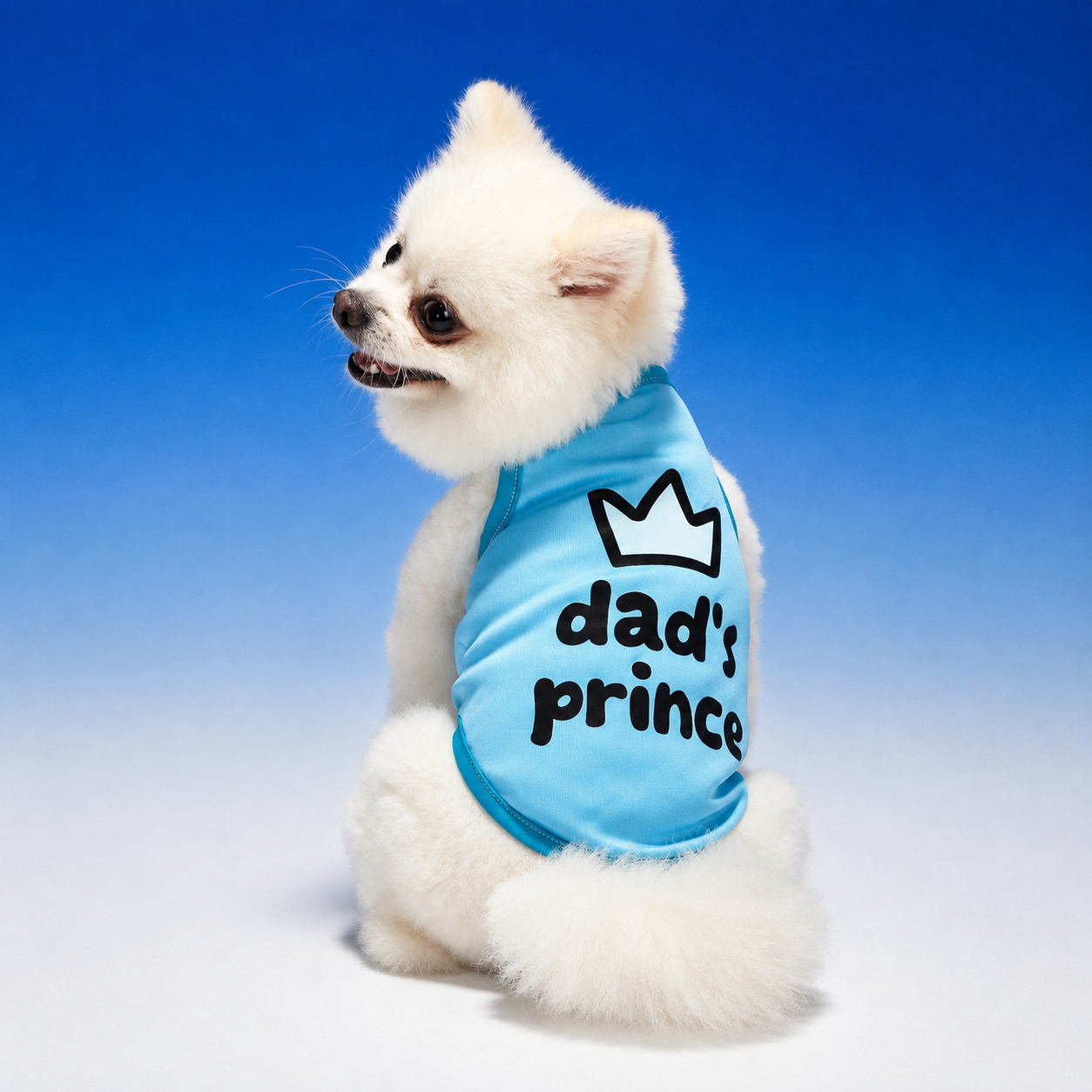 Dad's Prince Shirt