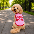 Mini Boss Shirt