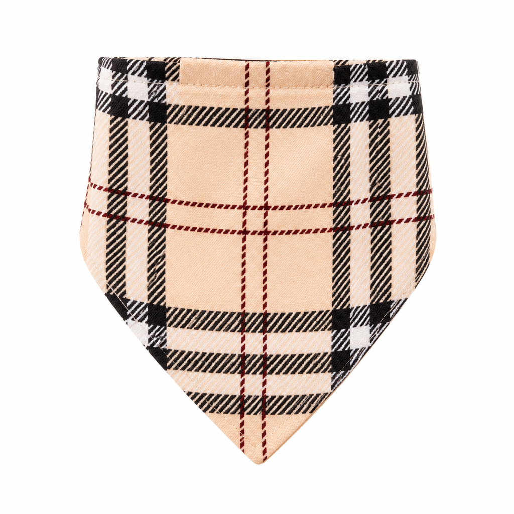 Colored Scarf