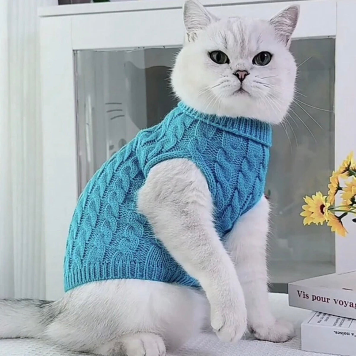 Blue Turtleneck