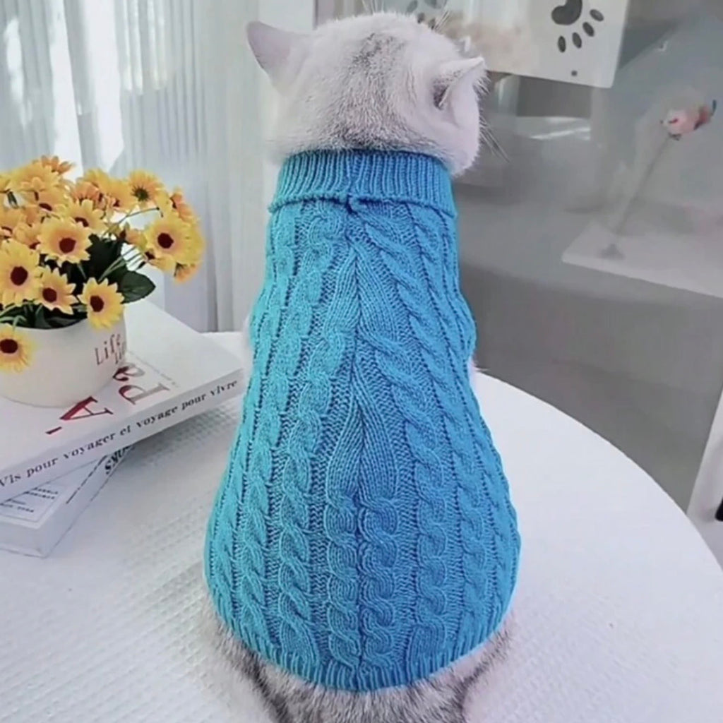 Blue Turtleneck