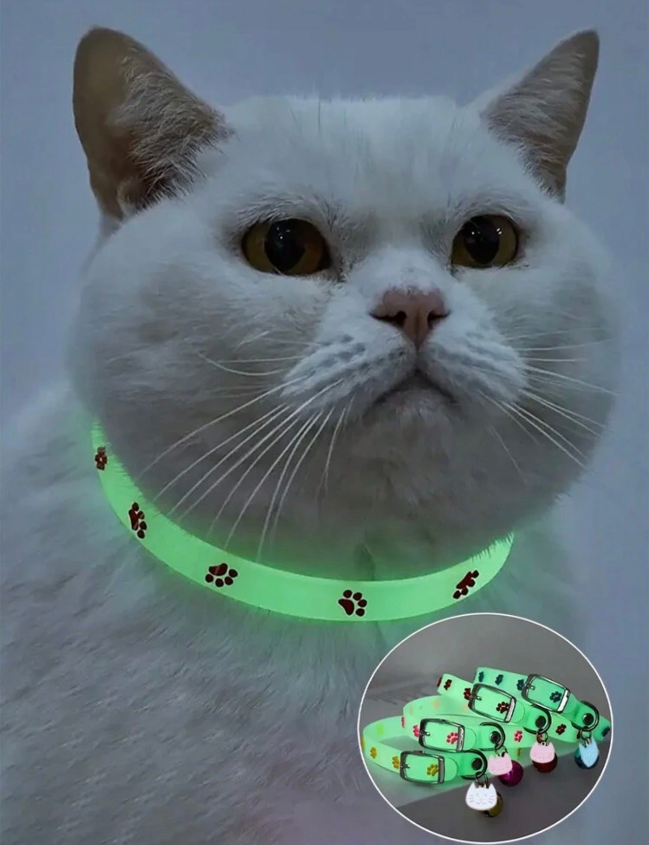 Glow in the Dark Collars