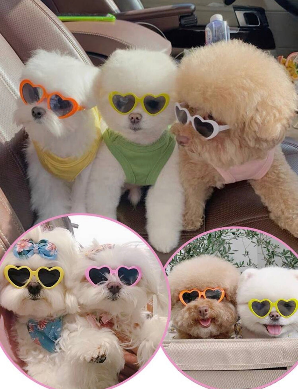 Heart Shape Sunglasses