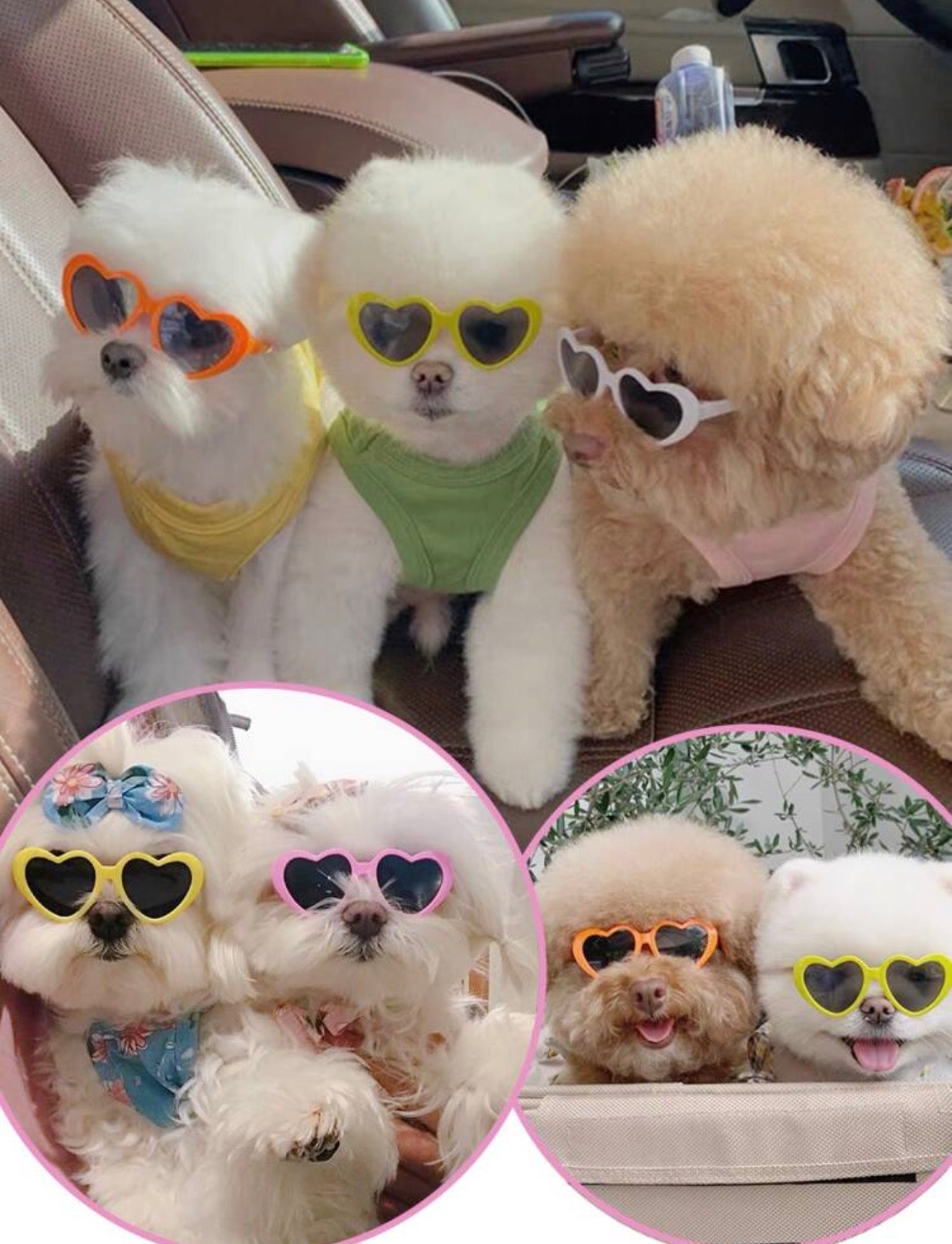 Heart Shape Sunglasses