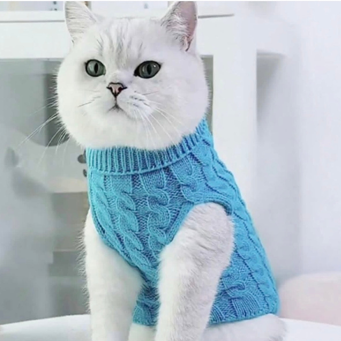 Blue Turtleneck
