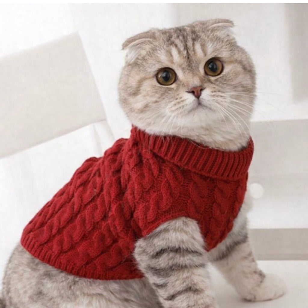 Burgundy Turtleneck