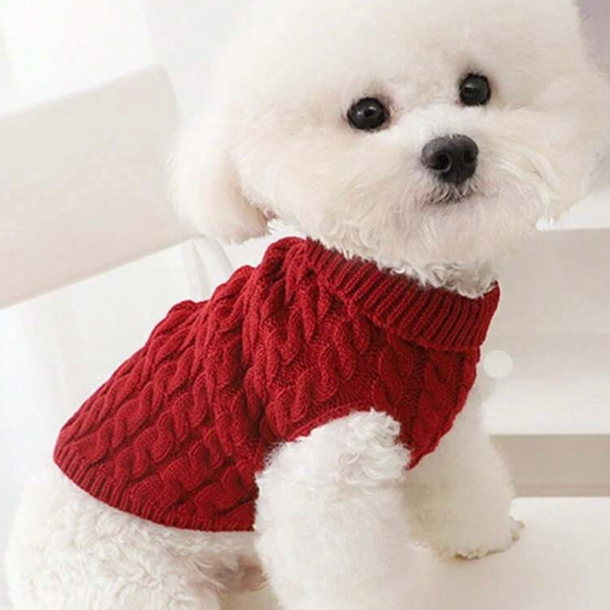 Burgundy Turtleneck