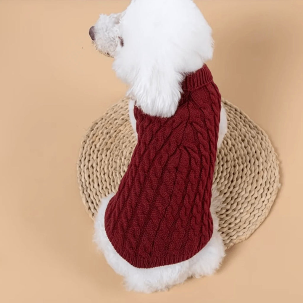 Burgundy Turtleneck
