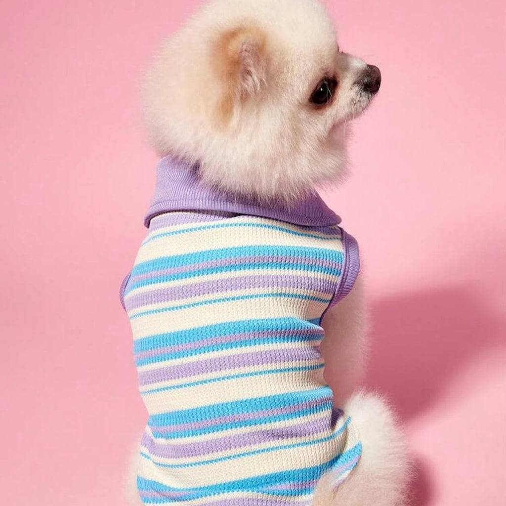 Multicolor Polo