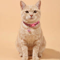 Pink Shiny Collar