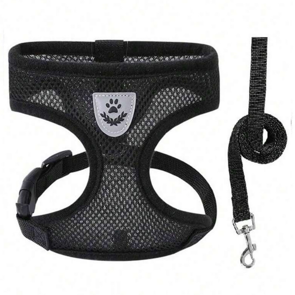 Pet Harness