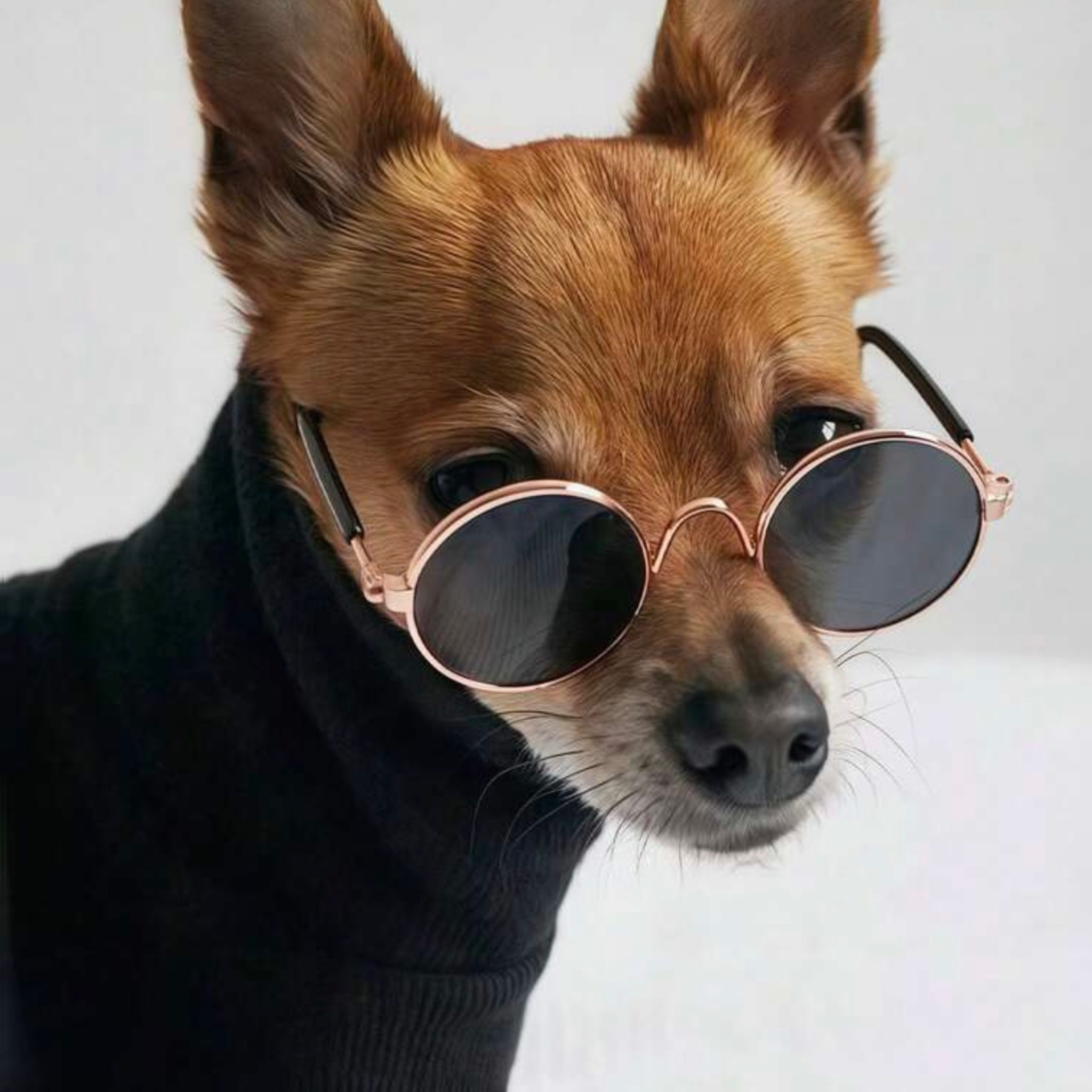 Round Glasses