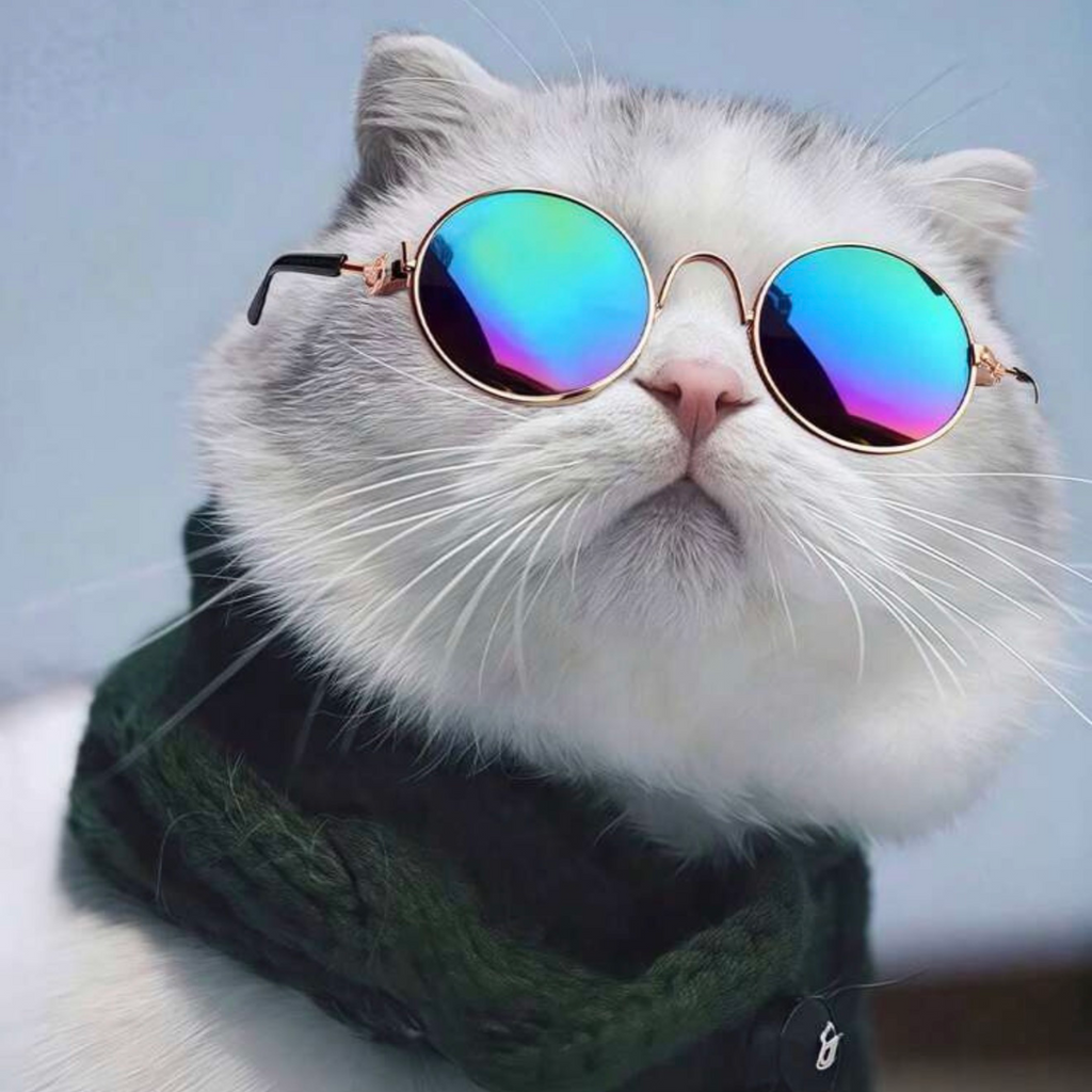 Round Glasses