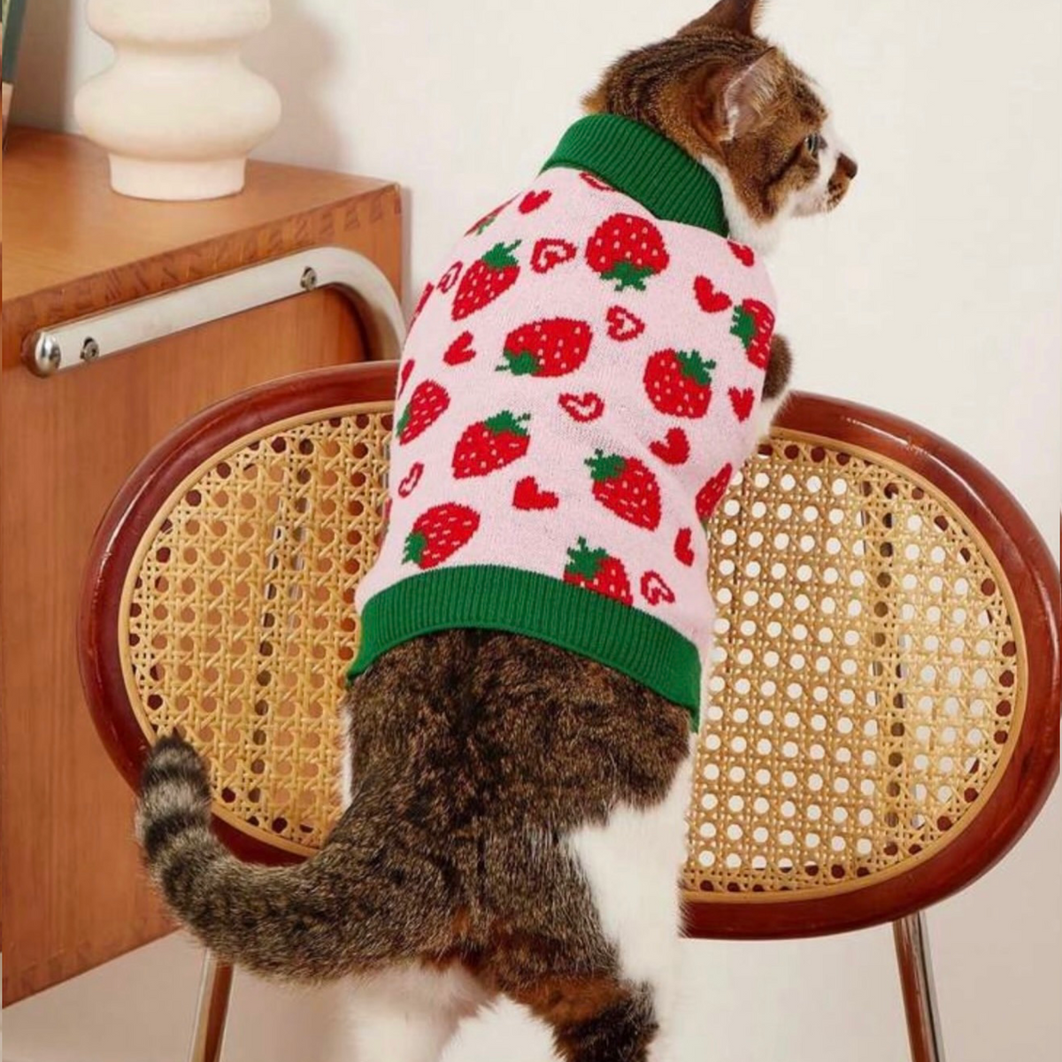 Strawberry Shirt