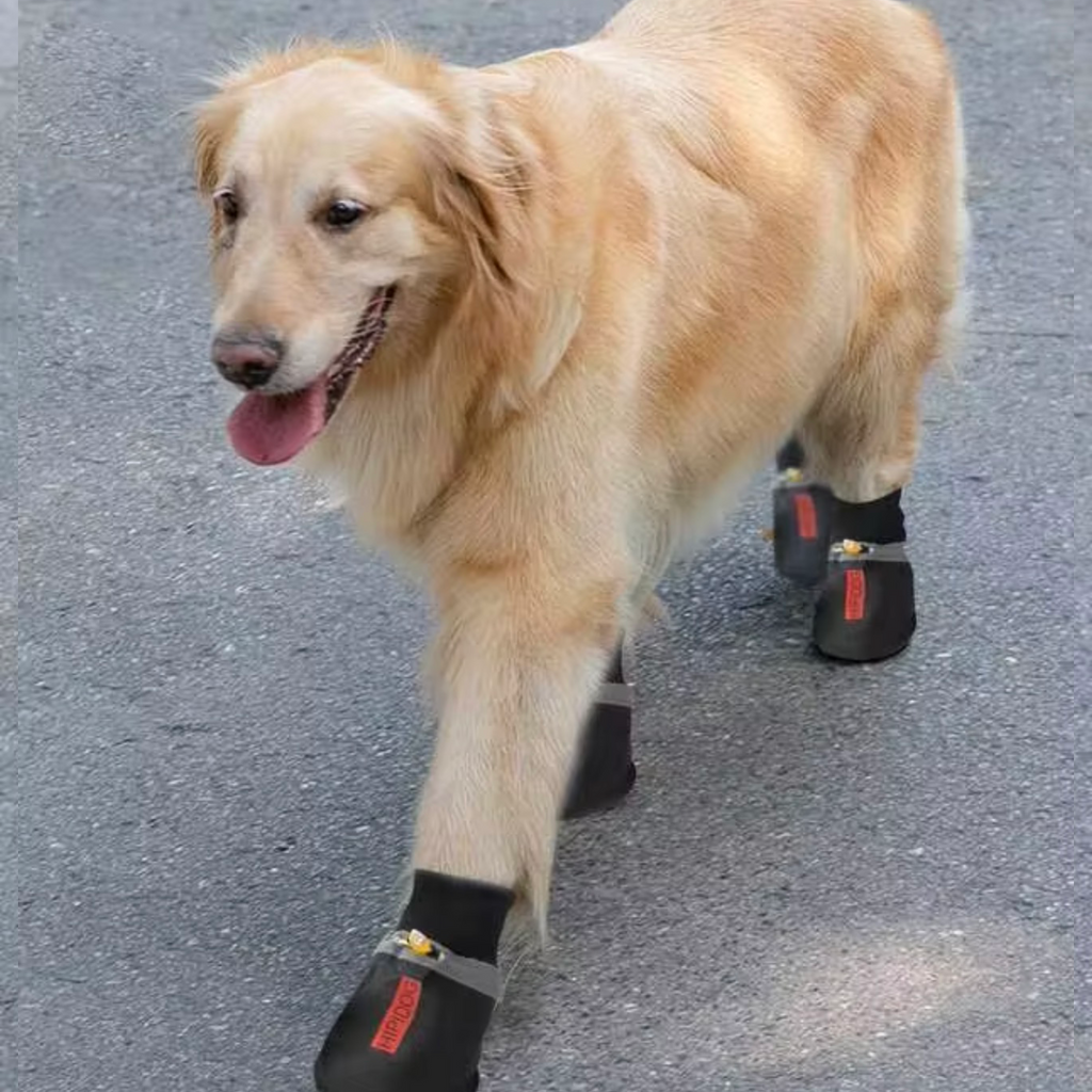 Big Black Shoes