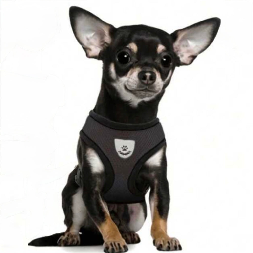 Pet Harness